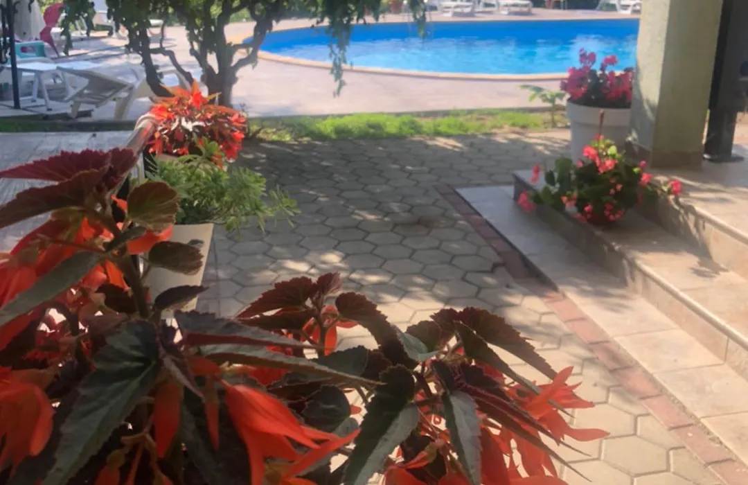 Sunny House Apartments With An Outdoor Pool And Free Parking-1