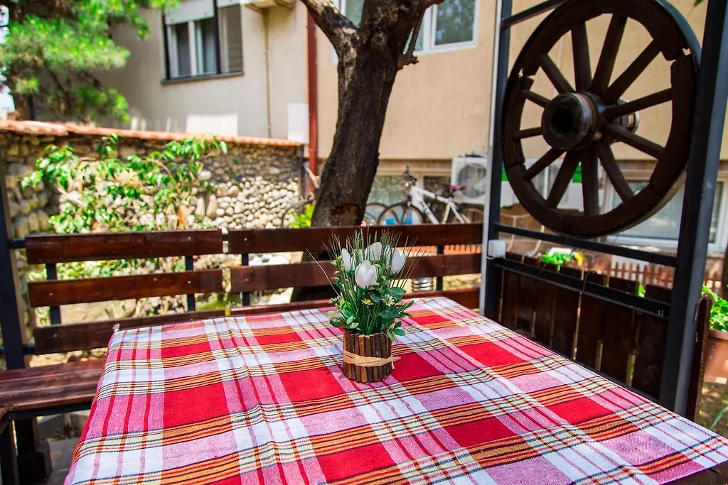 The Comfy Hostel-1