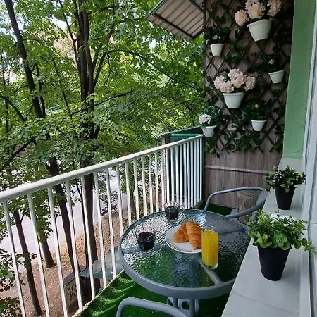 Inner City Two Bedroom Apartment-3
